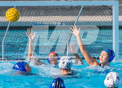 Thumbnail 2 in Mountain View vs. Los Altos (CIF-CCS Division 1 Girls Water Polo Championship) photogallery.