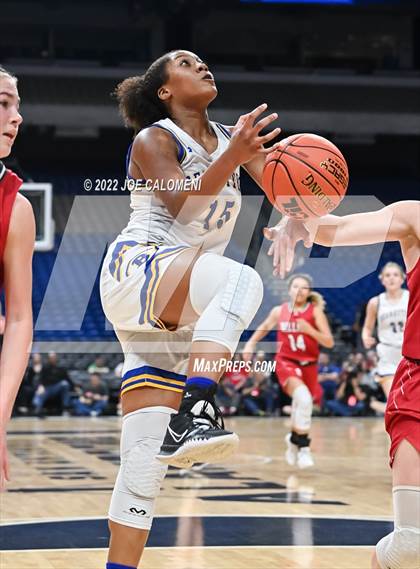 Thumbnail 1 in Brownsboro vs Fredericksburg (UIL 4A State Semifinals) photogallery.