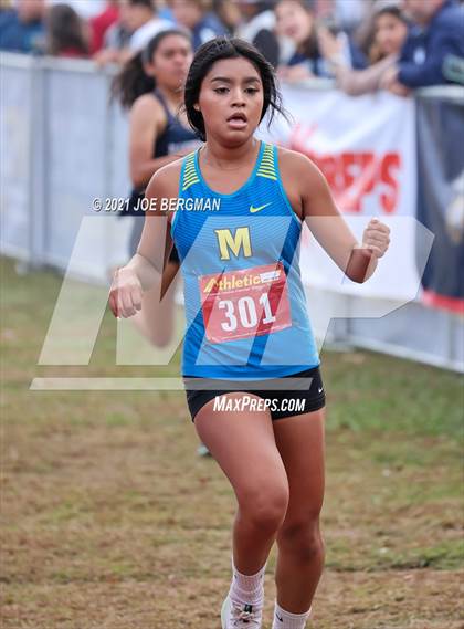 Thumbnail 1 in CIF Central Section Cross Country Championships (Girls D2 Race) photogallery.