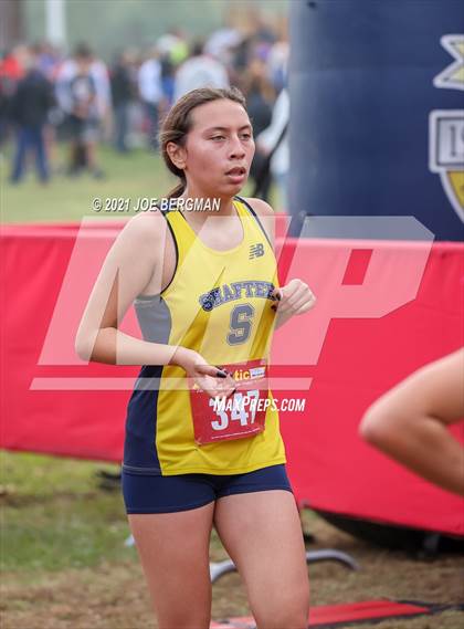 Thumbnail 2 in CIF Central Section Cross Country Championships (Girls D2 Race) photogallery.