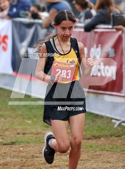 Thumbnail 2 in CIF Central Section Cross Country Championships (Girls D2 Race) photogallery.