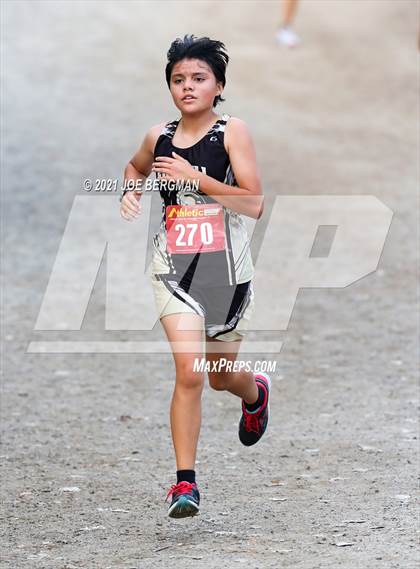 Thumbnail 2 in CIF Central Section Cross Country Championships (Girls D2 Race) photogallery.