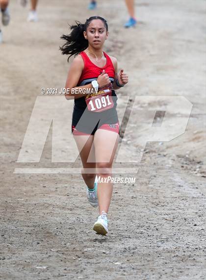 Thumbnail 2 in CIF Central Section Cross Country Championships (Girls D2 Race) photogallery.