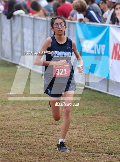 Thumbnail 1 in CIF Central Section Cross Country Championships (Girls D2 Race) photogallery.