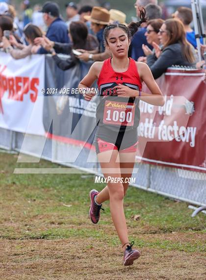 Thumbnail 3 in CIF Central Section Cross Country Championships (Girls D2 Race) photogallery.