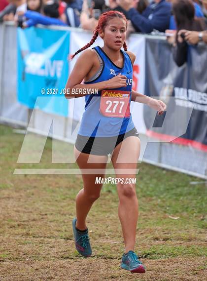 Thumbnail 3 in CIF Central Section Cross Country Championships (Girls D2 Race) photogallery.