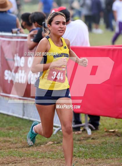 Thumbnail 2 in CIF Central Section Cross Country Championships (Girls D2 Race) photogallery.