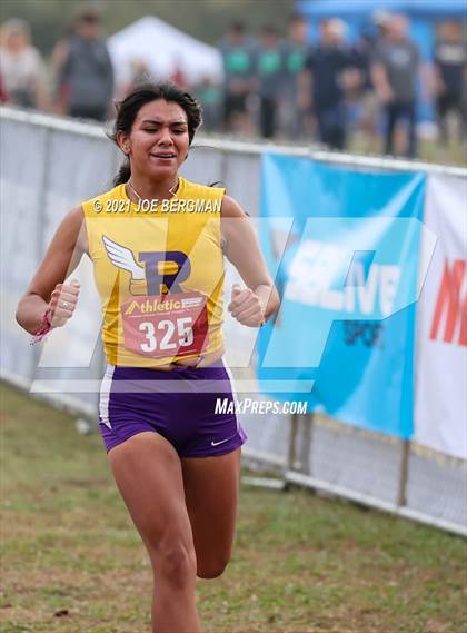 Thumbnail 3 in CIF Central Section Cross Country Championships (Girls D2 Race) photogallery.