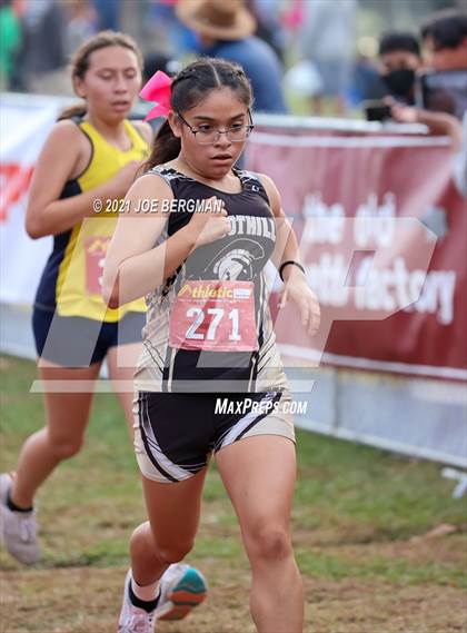 Thumbnail 1 in CIF Central Section Cross Country Championships (Girls D2 Race) photogallery.