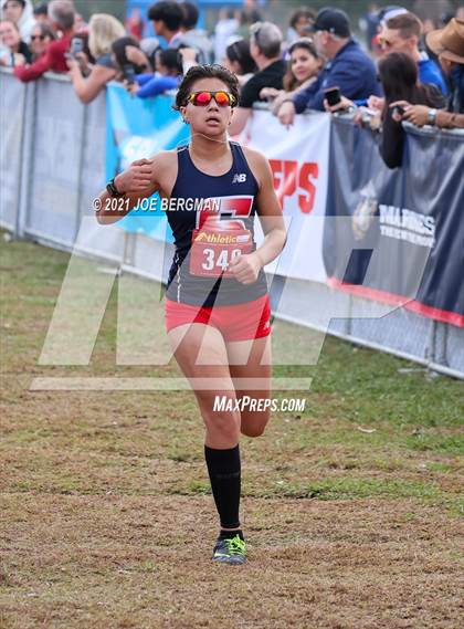 Thumbnail 1 in CIF Central Section Cross Country Championships (Girls D2 Race) photogallery.