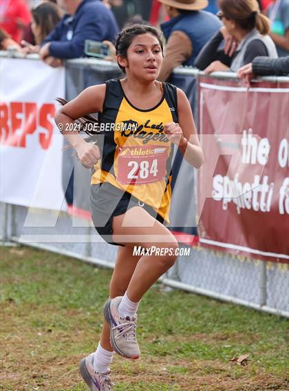 Thumbnail 1 in CIF Central Section Cross Country Championships (Girls D2 Race) photogallery.