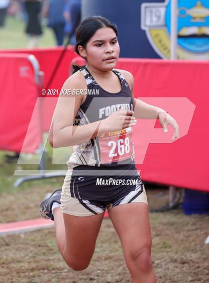 Thumbnail 1 in CIF Central Section Cross Country Championships (Girls D2 Race) photogallery.