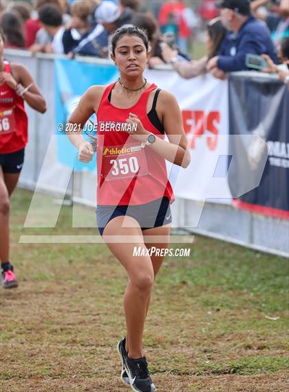 Thumbnail 3 in CIF Central Section Cross Country Championships (Girls D2 Race) photogallery.
