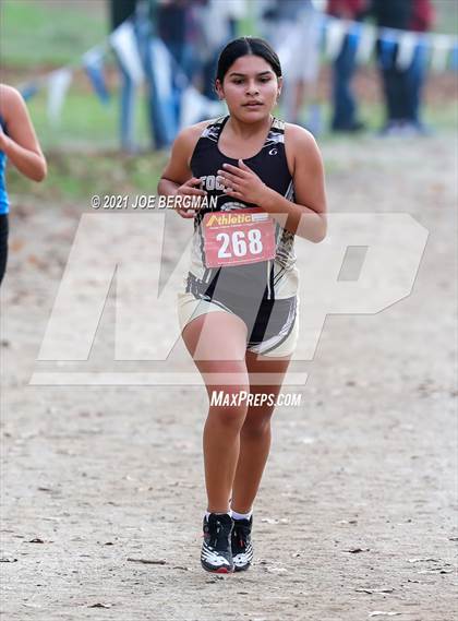 Thumbnail 2 in CIF Central Section Cross Country Championships (Girls D2 Race) photogallery.