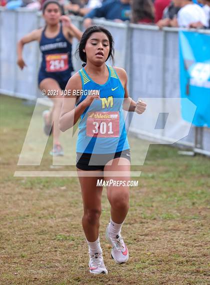 Thumbnail 3 in CIF Central Section Cross Country Championships (Girls D2 Race) photogallery.