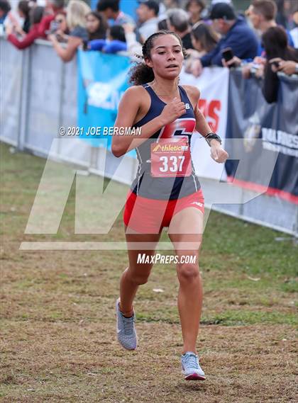 Thumbnail 3 in CIF Central Section Cross Country Championships (Girls D2 Race) photogallery.