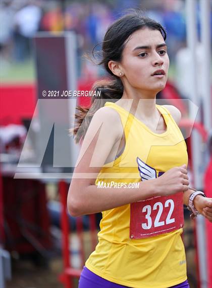 Thumbnail 1 in CIF Central Section Cross Country Championships (Girls D2 Race) photogallery.