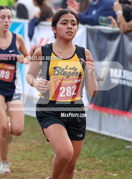 Thumbnail 2 in CIF Central Section Cross Country Championships (Girls D2 Race) photogallery.