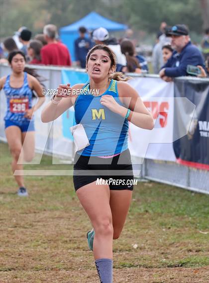 Thumbnail 3 in CIF Central Section Cross Country Championships (Girls D2 Race) photogallery.
