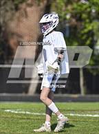 Photo from the gallery "Athens Drive @ Broughton"