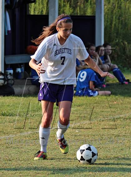 Thumbnail 2 in William Blount @ Sevier County photogallery.