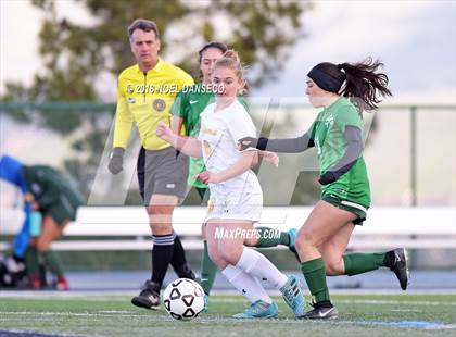 Thumbnail 2 in Terra Nova vs. Sacred Heart Cathedral Preparatory (CIF CCS D2 Final) photogallery.