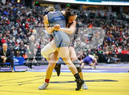 Thumbnail 3 in CHSAA State Championship (4A Finals) photogallery.