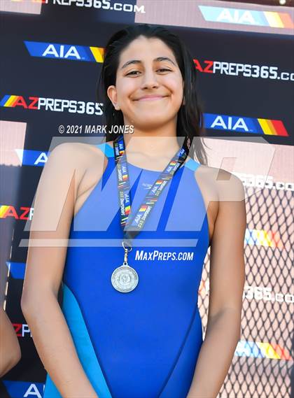 Thumbnail 1 in AIA Division III State Championships (Awards) photogallery.