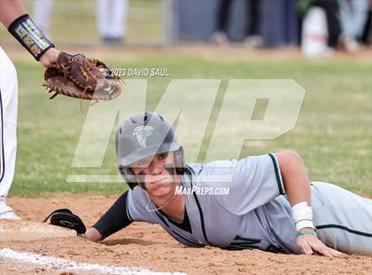 Thumbnail 2 in Falcon @ Sand Creek photogallery.