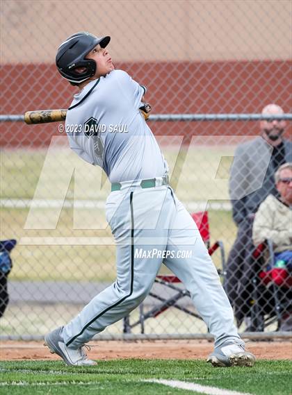 Thumbnail 1 in Falcon @ Sand Creek photogallery.