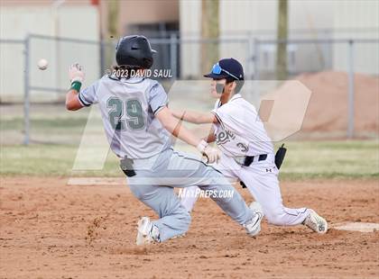 Thumbnail 1 in Falcon @ Sand Creek photogallery.