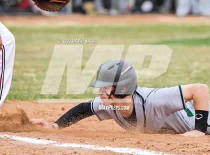 Thumbnail 1 in Falcon @ Sand Creek photogallery.