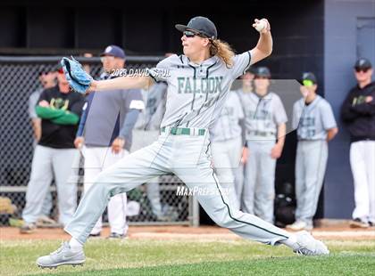 Thumbnail 1 in Falcon @ Sand Creek photogallery.