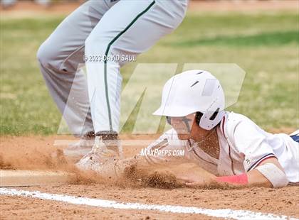 Thumbnail 2 in Falcon @ Sand Creek photogallery.