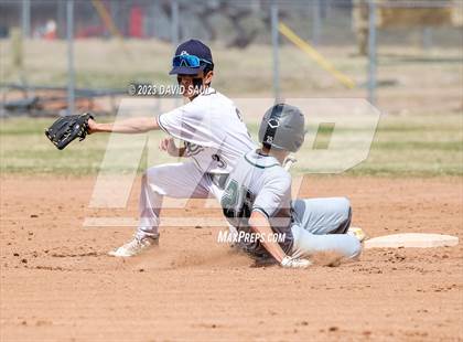 Thumbnail 1 in Falcon @ Sand Creek photogallery.