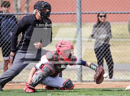 Thumbnail 1 in Falcon @ Sand Creek photogallery.