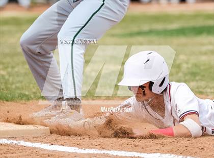Thumbnail 1 in Falcon @ Sand Creek photogallery.