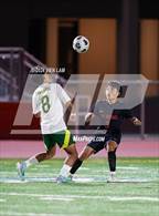 Photo from the gallery "San Marin @ San Rafael"