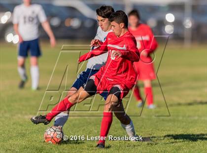 Thumbnail 1 in Central Catholic vs Judson photogallery.