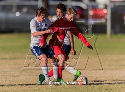 Thumbnail 3 in Central Catholic vs Judson photogallery.