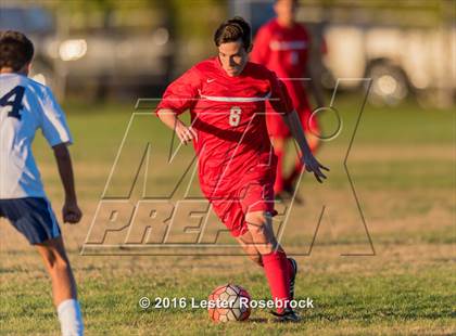 Thumbnail 1 in Central Catholic vs Judson photogallery.