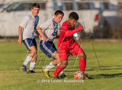 Thumbnail 1 in Central Catholic vs Judson photogallery.