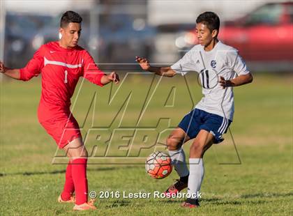 Thumbnail 3 in Central Catholic vs Judson photogallery.