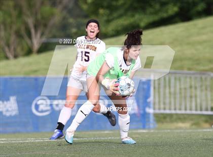 Thumbnail 3 in Tallwood @ Ocean Lakes photogallery.