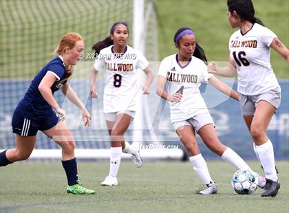 Thumbnail 1 in Tallwood @ Ocean Lakes photogallery.