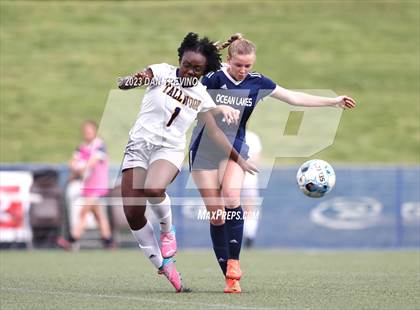 Thumbnail 3 in Tallwood @ Ocean Lakes photogallery.