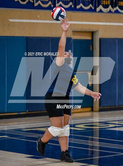 Thumbnail 2 in Hoover @ Morse photogallery.