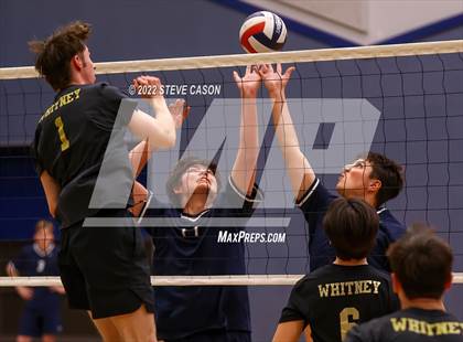 Thumbnail 3 in Whitney @ Vista del Lago photogallery.
