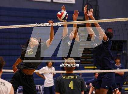 Thumbnail 3 in Whitney @ Vista del Lago photogallery.