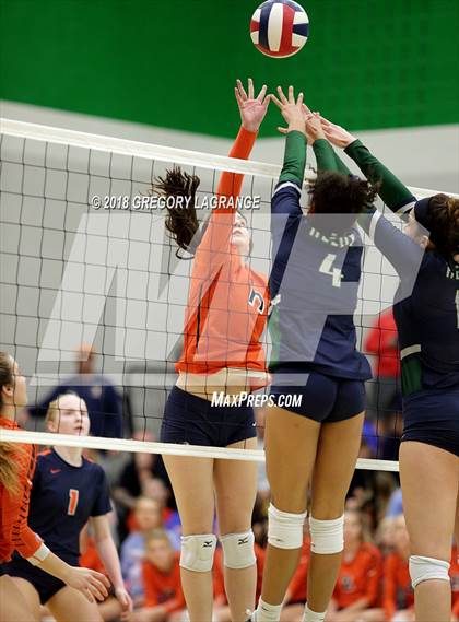 Thumbnail 1 in Reedy vs. Wakeland photogallery.